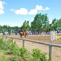 Torneo regionale di equitazione 2.06.2013 centro ippico tucci team (2)