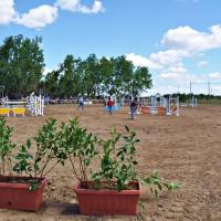 Torneo regionale di equitazione 2.06.2013 centro ippico tucci team (4)