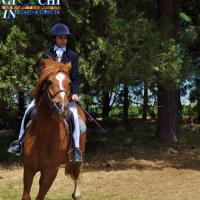 Torneo regionale di equitazione 2.06.2013 centro ippico tucci team (9)