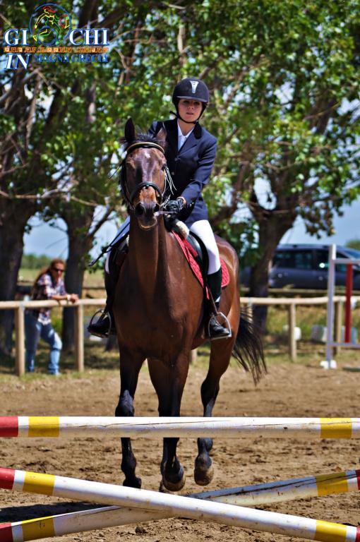 Torneo regionale di equitazione 2.06.2013 centro ippico tucci team (13)