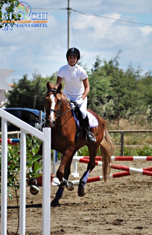 Torneo regionale di equitazione 2.06.2013 centro ippico tucci team (17)