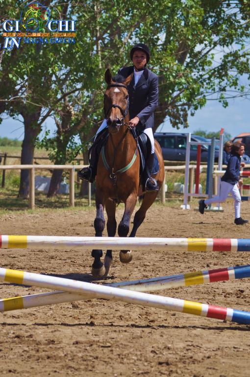 Torneo regionale di equitazione 2.06.2013 centro ippico tucci team (21)