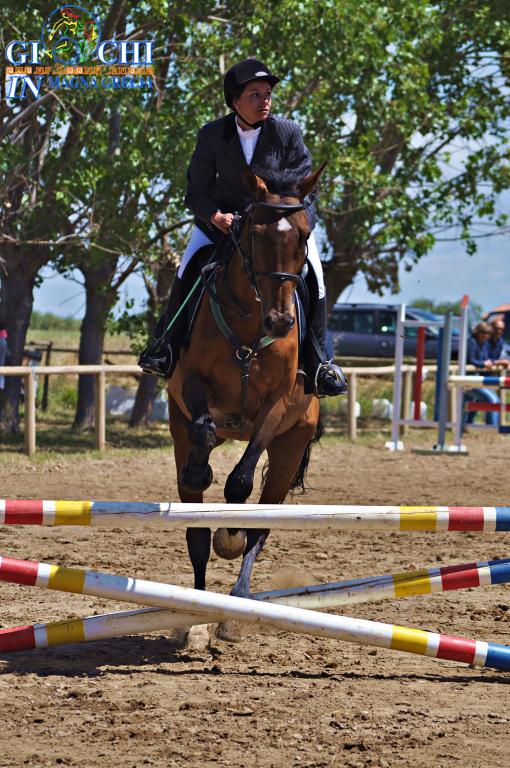 Torneo regionale di equitazione 2.06.2013 centro ippico tucci team (22)