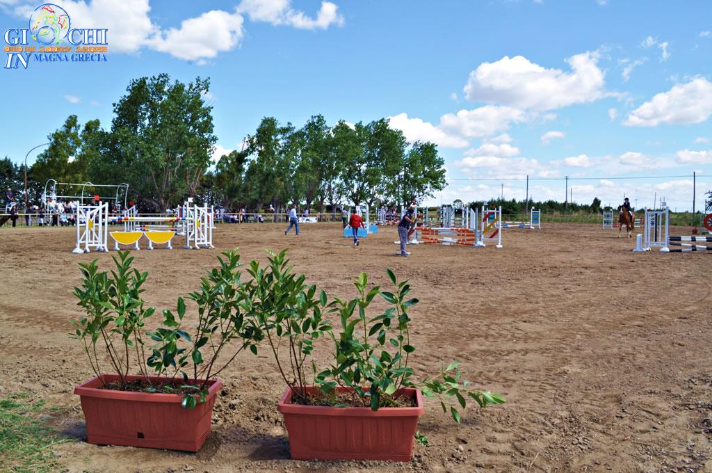 Torneo regionale di equitazione 2.06.2013 centro ippico tucci team (4)