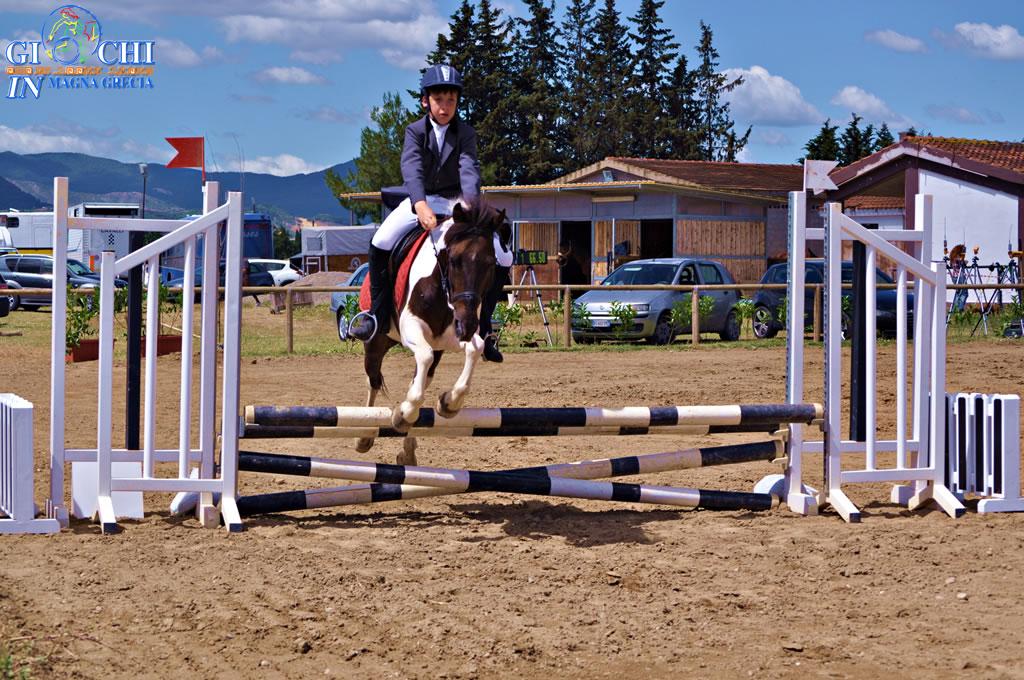 Torneo regionale di equitazione 2.06.2013 centro ippico tucci team (5)